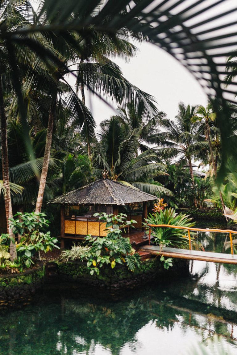 Review: Denmark Proposes Corona Pass Mandate for Workers