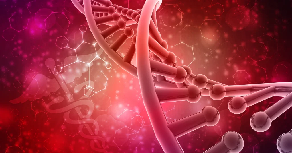 Endocrine System's Functionality